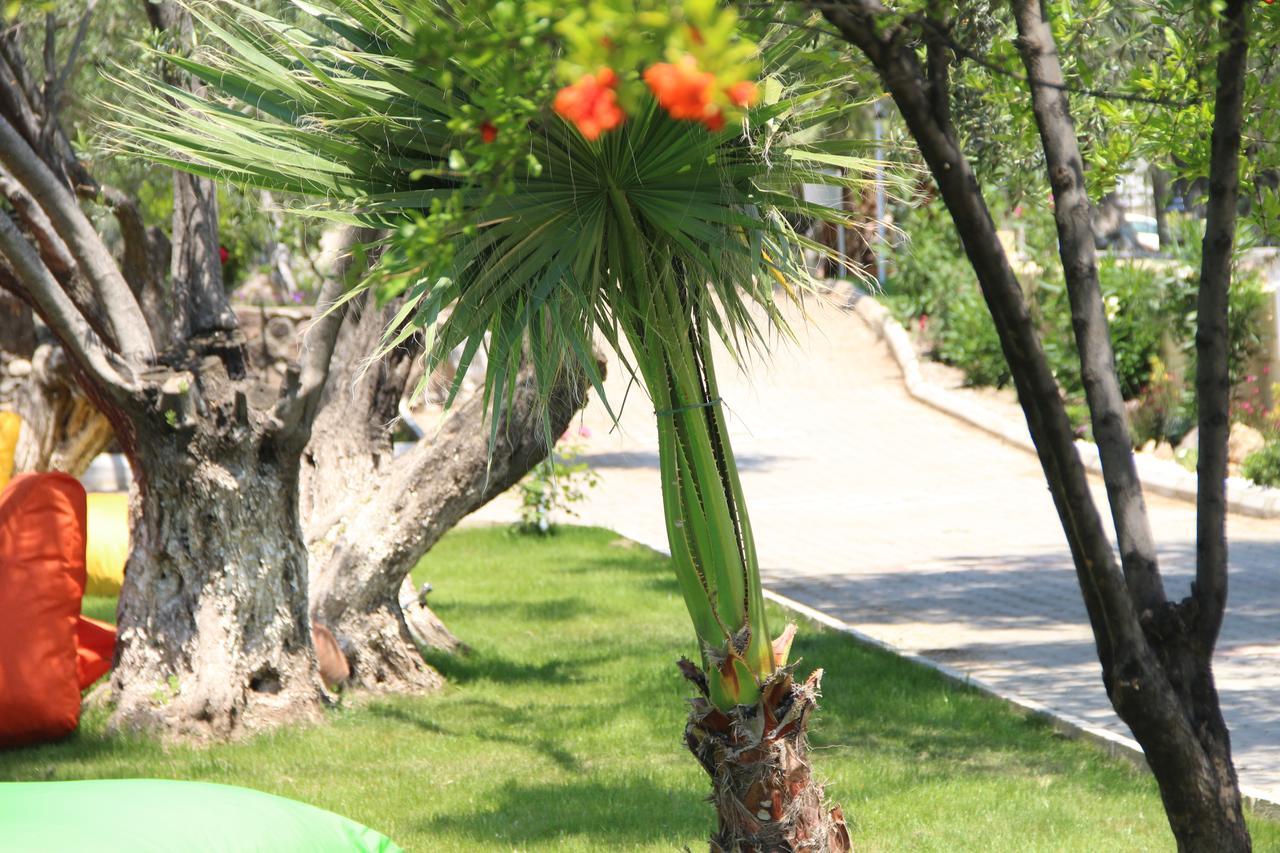 Kayalar Blue Beach Hotel Sazlı エクステリア 写真