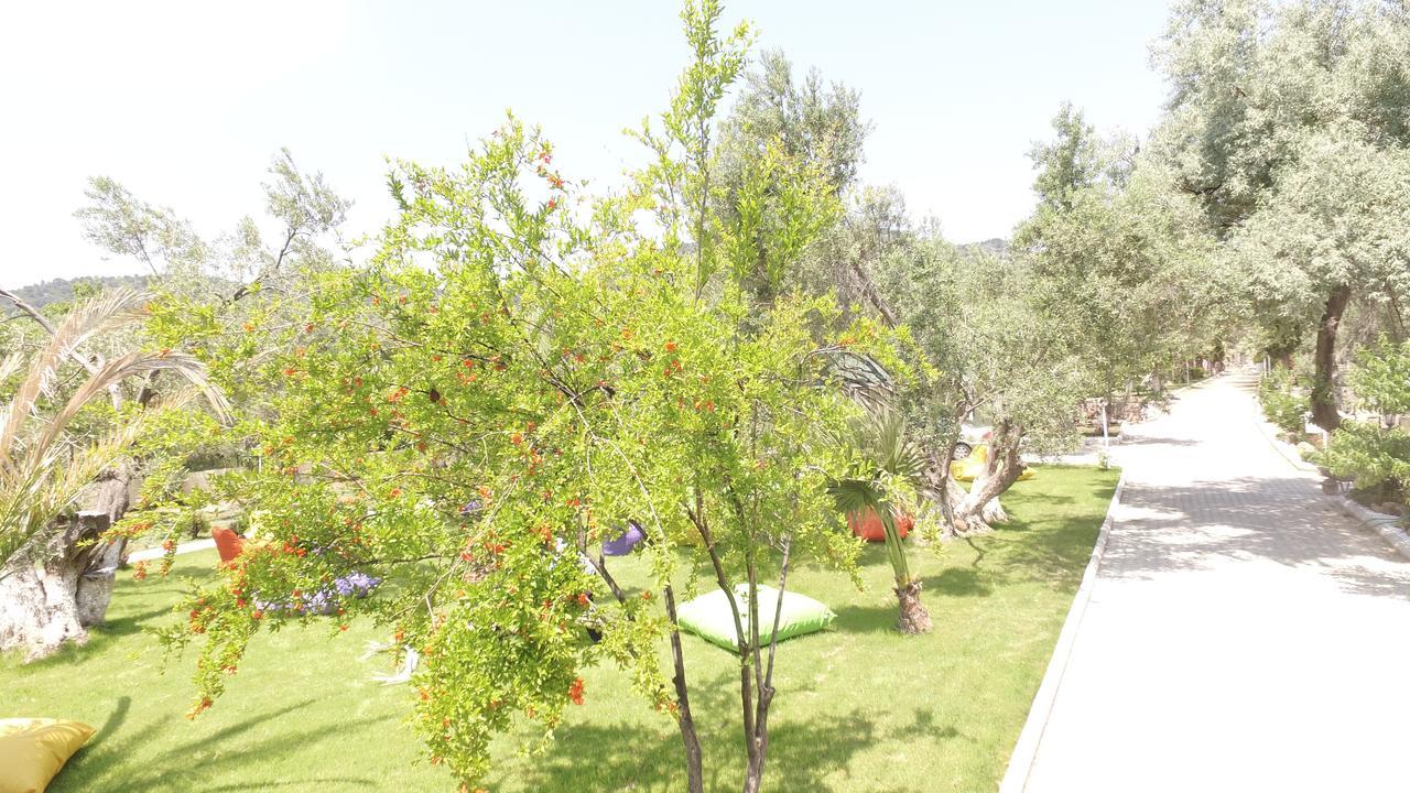Kayalar Blue Beach Hotel Sazlı エクステリア 写真