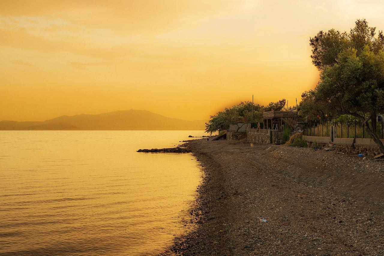Kayalar Blue Beach Hotel Sazlı エクステリア 写真