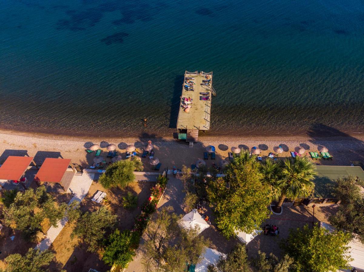 Kayalar Blue Beach Hotel Sazlı エクステリア 写真